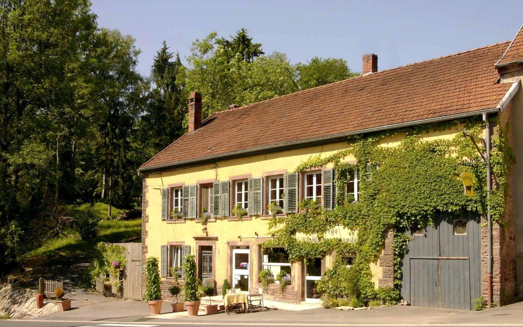 Les Grands Frenes Bed & Breakfast Plaine-de-Walsch Exterior photo